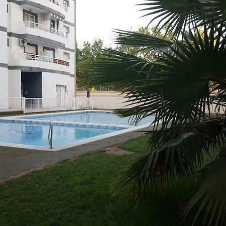 Appartement Avec Piscine San Vicente Raspeig Екстериор снимка